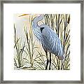 Heron And Cattails Framed Print