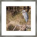 Heron Perched On Log Framed Print