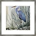 Herons Sheltered Retreat Framed Print