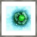 Herpes Simplex Virus Framed Print