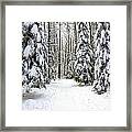 Hersey Lake Winter Path Framed Print