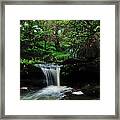 Hidden Rainforest Framed Print