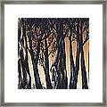 Hide And Seek Framed Print