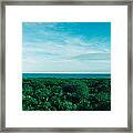 High Angle View Of Trees With Atlantic Framed Print