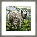 Highland Ewe Framed Print