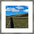 Hills Of Yellow Framed Print