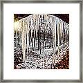 Hinding From Winter Framed Print