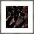 Hint Of A Lily Framed Print