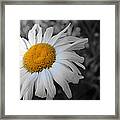 Hint Of Yellow Framed Print
