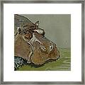 Hippo Sleeping Framed Print