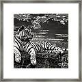 His Majesty Framed Print