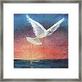 The Wings Of Peace Framed Print