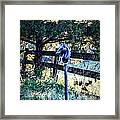 Hitching Post Framed Print