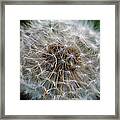 Hold Your Breath Make A Wish Count To Three Framed Print