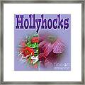 Hollyhocks Framed Print
