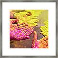 Holy Hands Framed Print