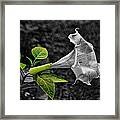 Homage To The Moon Framed Print