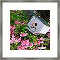 Home And Garden Framed Print