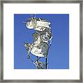 Honesty Seed Pods Framed Print