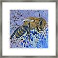 Honey Bee Framed Print