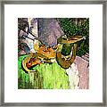 Honey Pumpkin Framed Print