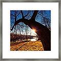 Hook Or Crook Framed Print