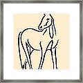 Horse - Grace Framed Print