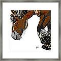 Horse - Guus Framed Print