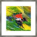 Horse Hurdles Framed Print