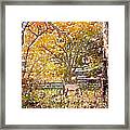 Horse In The Pasture Framed Print