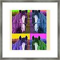 Horse Of A Different Color Framed Print