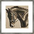 Horse Painting - Focus In Sepia Framed Print