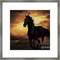Horse With Tribal Tattoo Framed Print