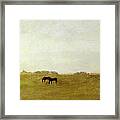 Horses Afield Framed Print