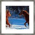 Horses At Play Framed Print
