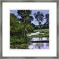 Horses Grazing At Water's Edge Framed Print