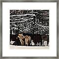 Horses In Snow Framed Print