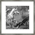 Horses Framed Print