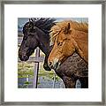 Horses Framed Print