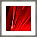 Hot Blooded Series Part 2 Framed Print