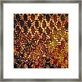 Hot Grill Framed Print