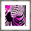 Hot Pink Zebra Framed Print