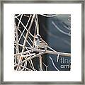 House Sparrow Framed Print