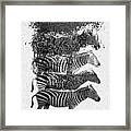 How To Make A Zebra Framed Print
