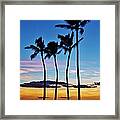 Hula Palms At Sunset Framed Print
