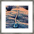 Human Sperm In Uterus Framed Print