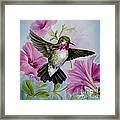 Hummer In Petunias Framed Print