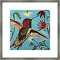 Hummingbird No. 2 Framed Print