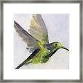 Hummingbird Watercolor Bird Painting Framed Print