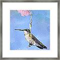 Hummingbirds Like To Swing Framed Print
